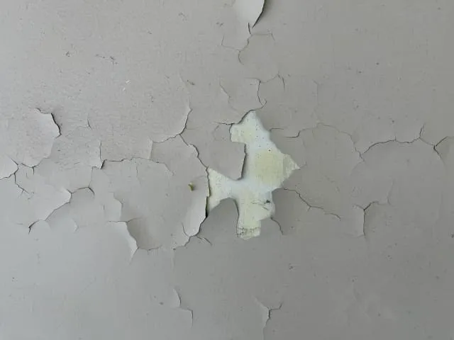 外壁塗装が剥がれてきた？補修のタイミングと正しい対処法を解説